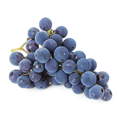 خرید نهال انگور سیاه سردشت