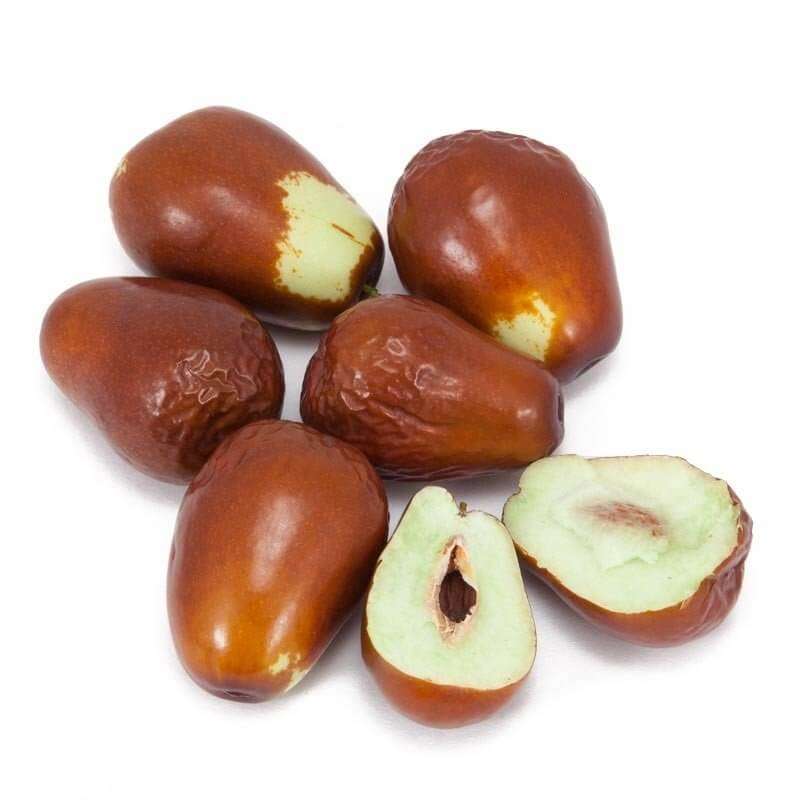 خرید نهال عناب ژاپنی