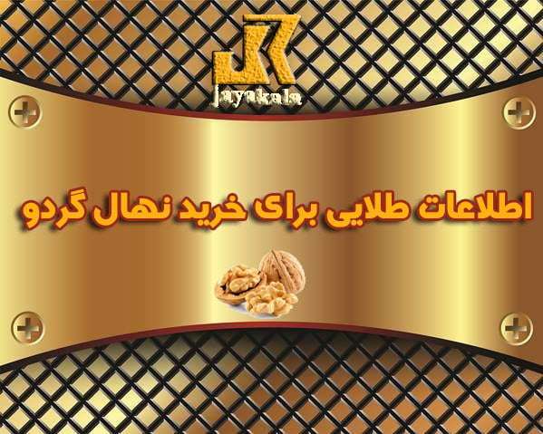 اطلاعات طلایی برای خرید نهال گردو2