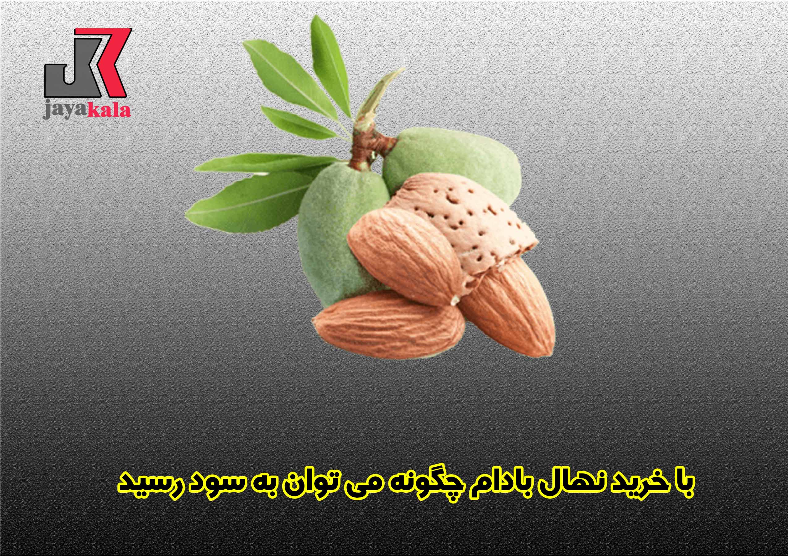 با خرید نهال بادام چگونه می توان به سود رسید