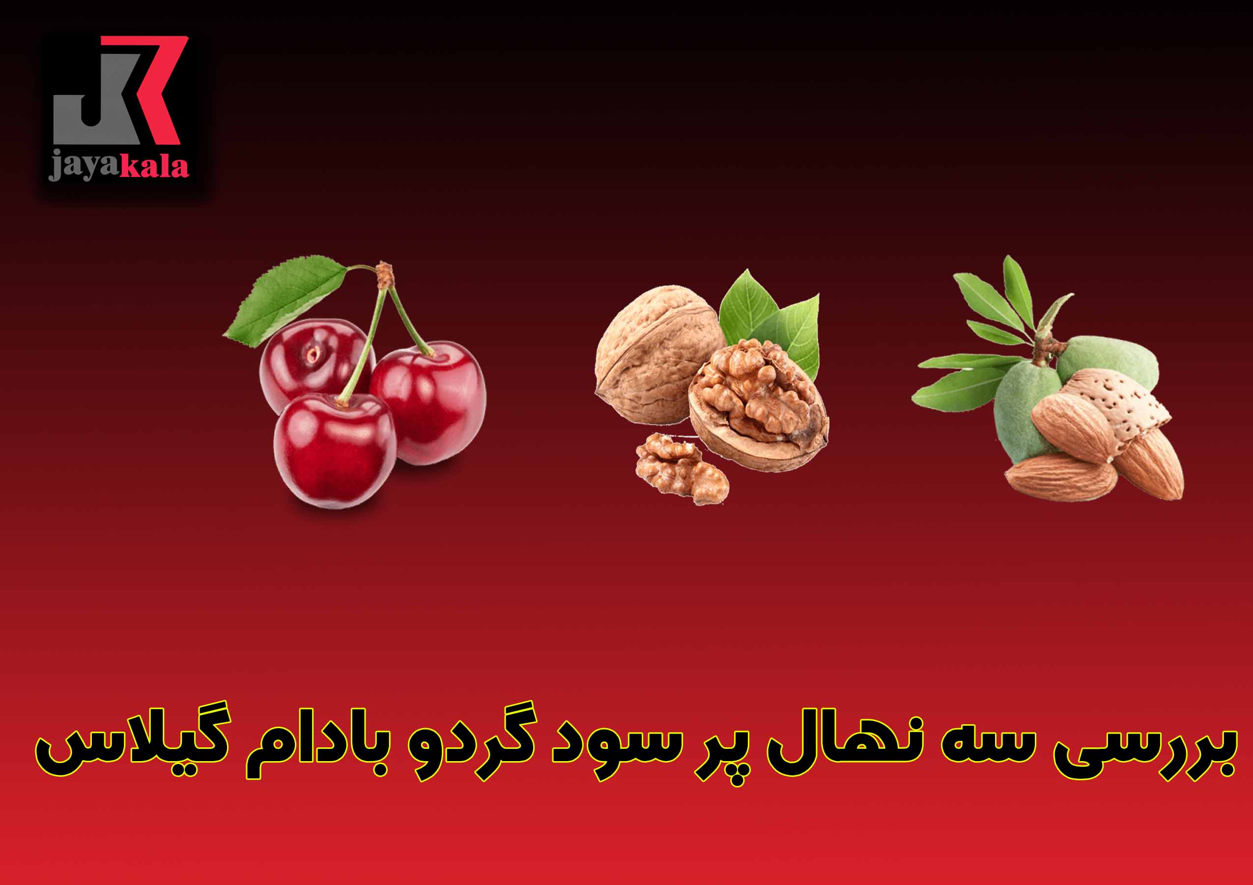 بررسی سه نهال پر سود گردو بادام گیلاس