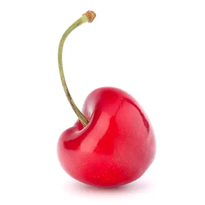 خرید نهال گیلاس آمبرانس