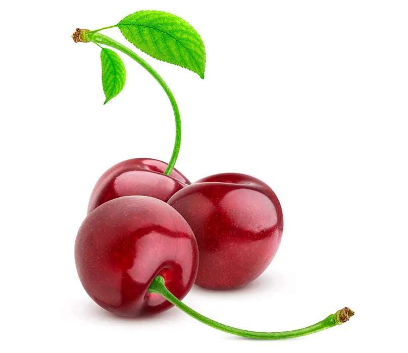 خرید نهال گیلاس اسرائیلی