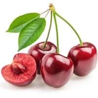 خرید نهال گیلاس بارلت