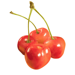 خرید نهال گیلاس خوشه ای فرانسه