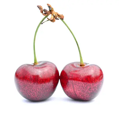 خرید نهال گیلاس رژینا