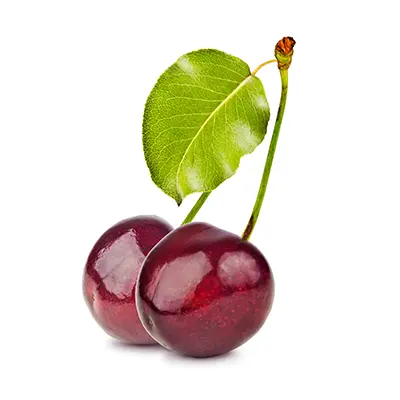 خرید نهال گیلاس فرنگی
