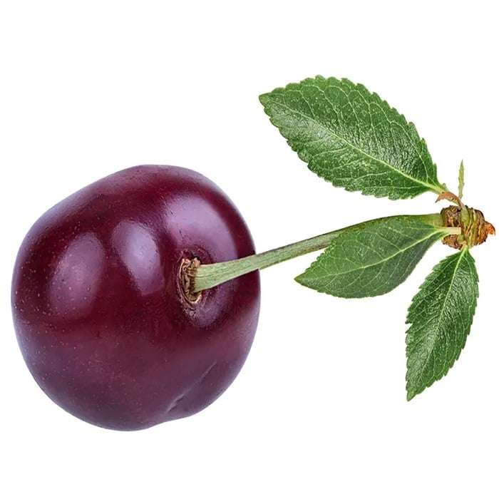 خرید نهال گیلاس نوبل