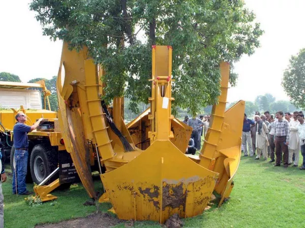 انتقال درخت به روش اصولی