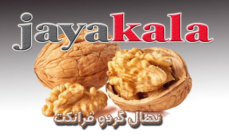 نهال گردو فرانکت