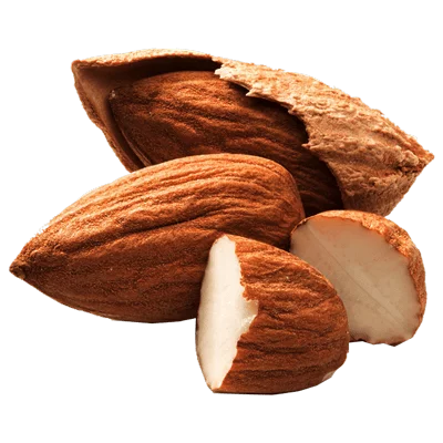 خرید نهال بادام تاجری