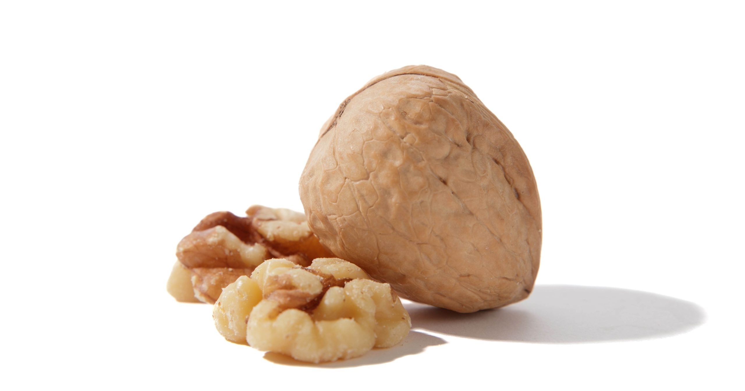 walnut genotype12