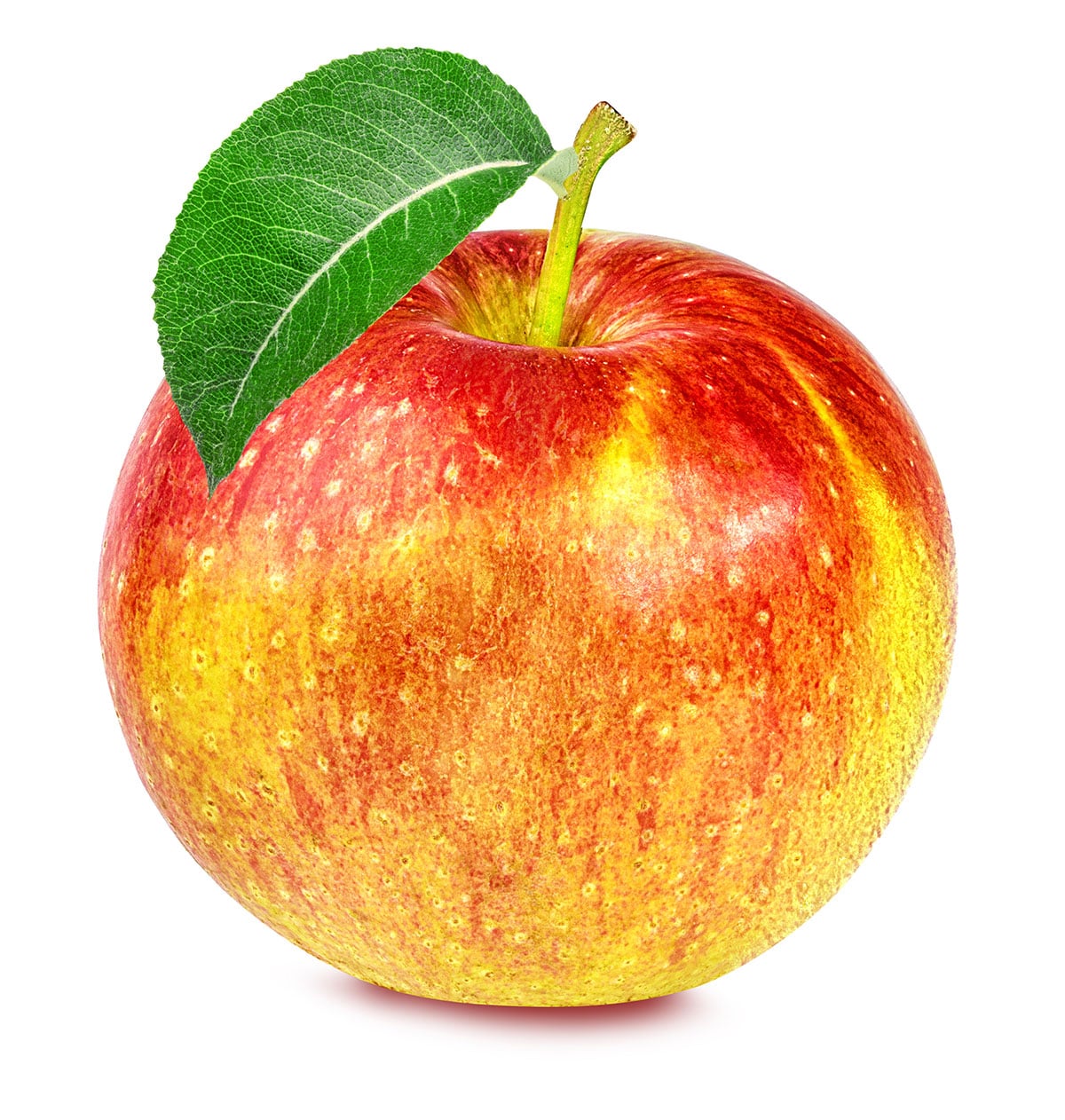 نهال سیب پینک لیدی