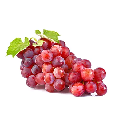 نهال انگور جوین
