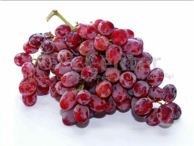 نهال انگور شیرازی