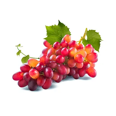 نهال انگور فخری