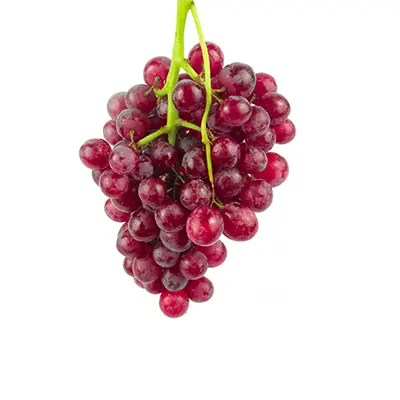 نهال انگور یاقوتی