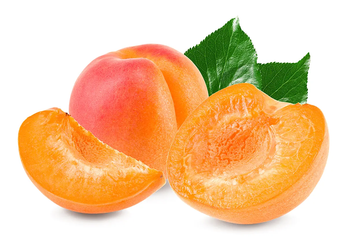 نهال زردآلو اردواباد