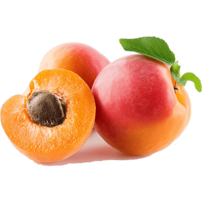 نهال زردآلو میرزایی