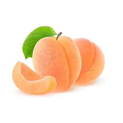 نهال زردآلو نخجوان