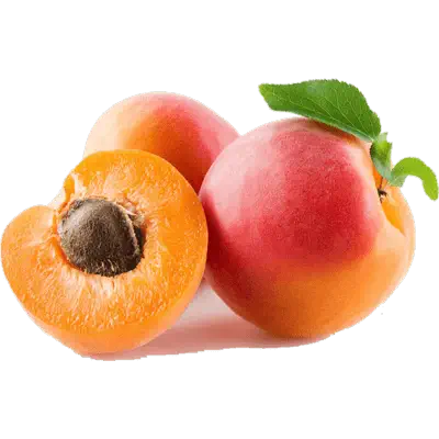 نهال زردالو پوست قرمز