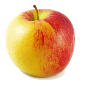 نهال سیب دو رنگ