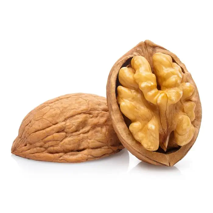 نهال گردو یالووا