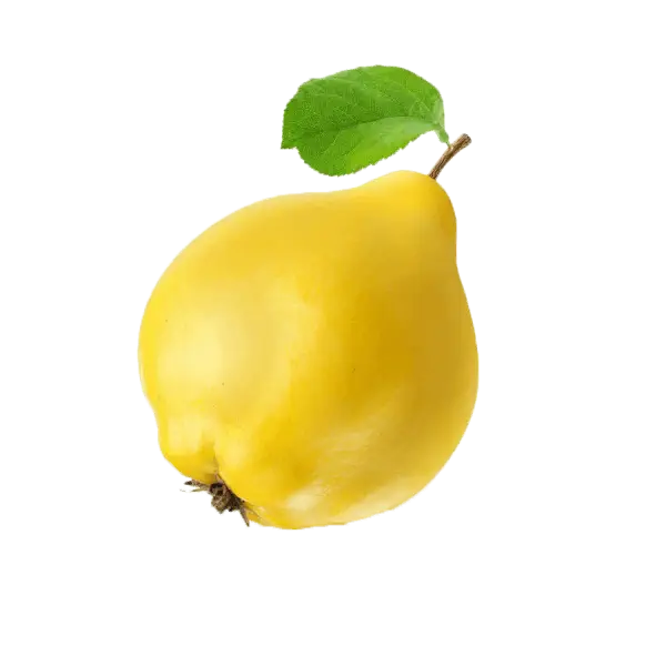 بررسی نهال به