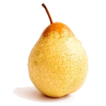 main