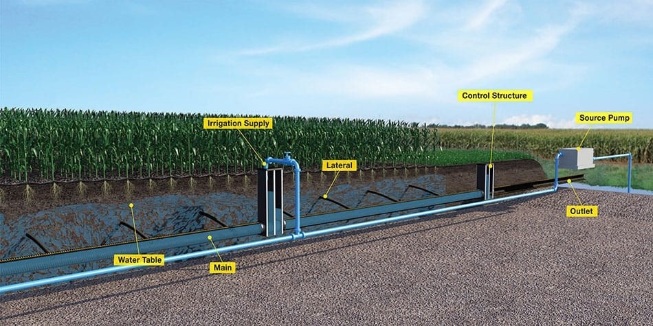 استفاده از فناوری‌های نوین برای بهبود عملکرد آبیاری نهال بادام