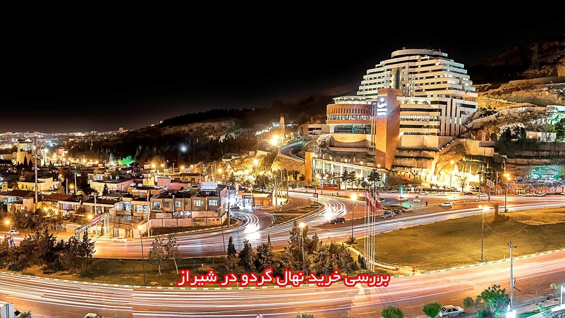 بررسی خرید نهال گردو در شیراز