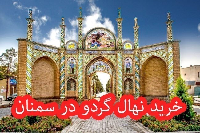 خرید نهال گردو در سمنان