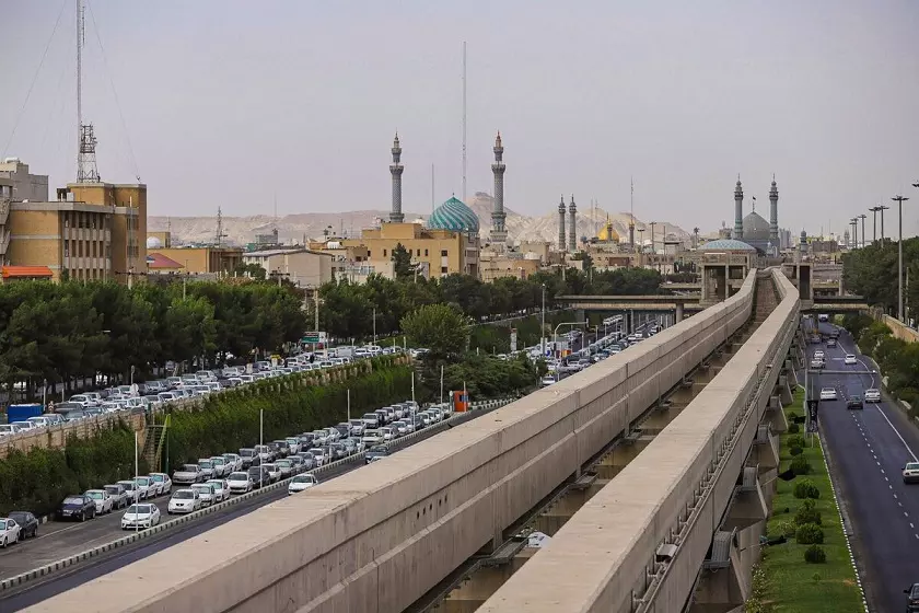 خرید نهال گردو در قم