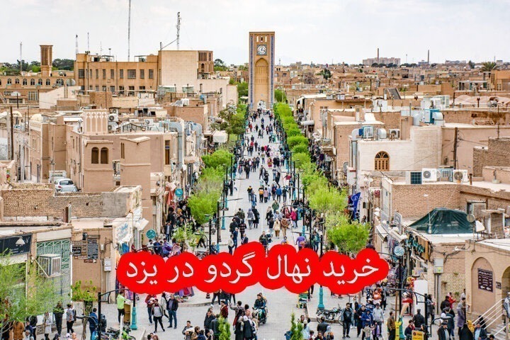خرید نهال گردو در یزد