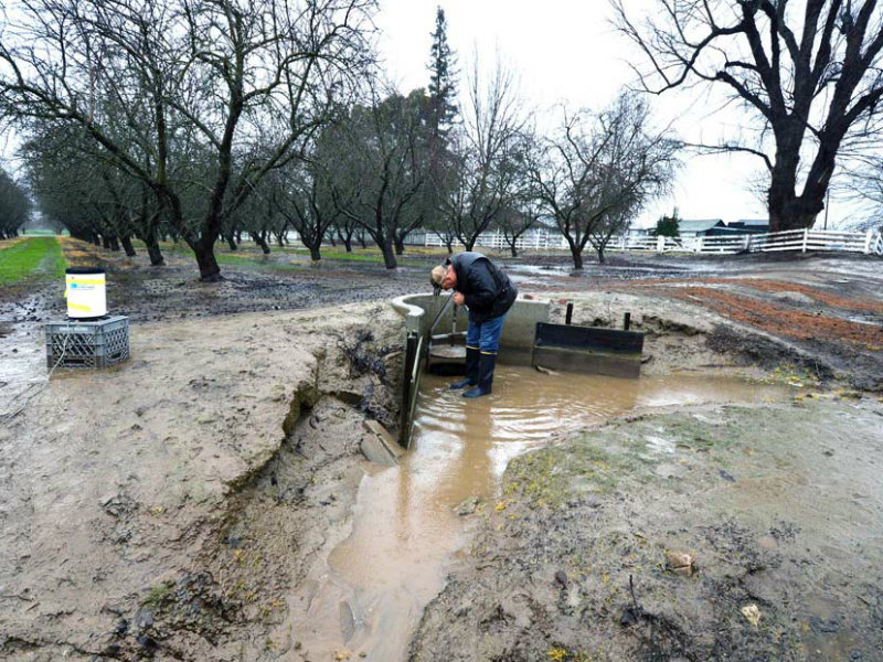 روش‌های مختلف آبیاری برای نهال بادام