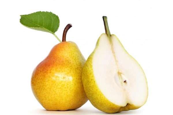 خرید نهال گلابی تاشکندی