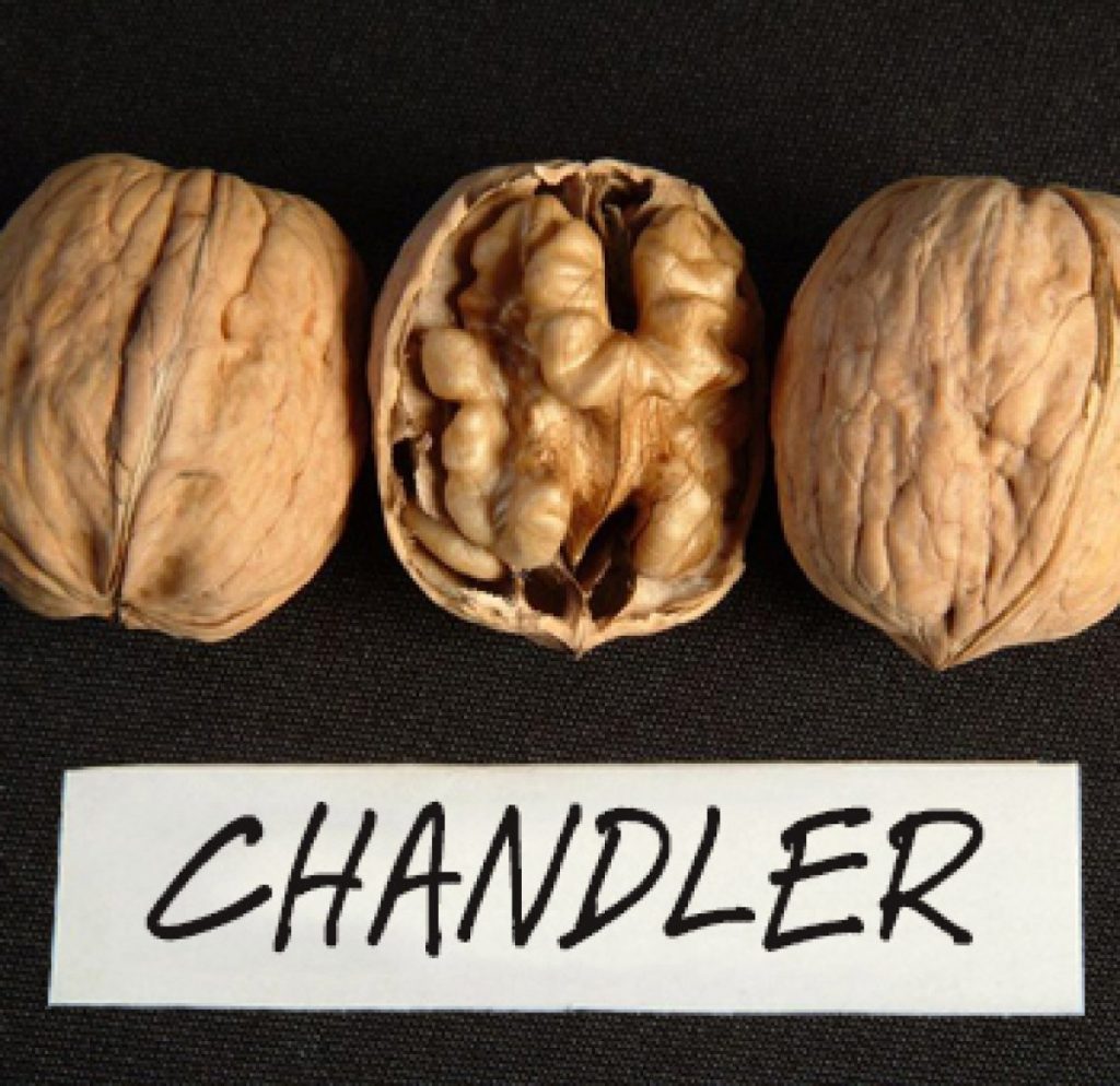 افزایش ارزش افزوده