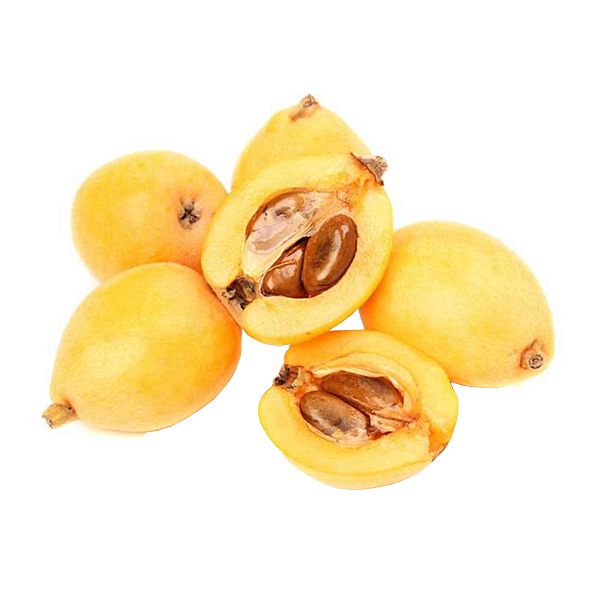 خرید نهال گلابی جنگلی
