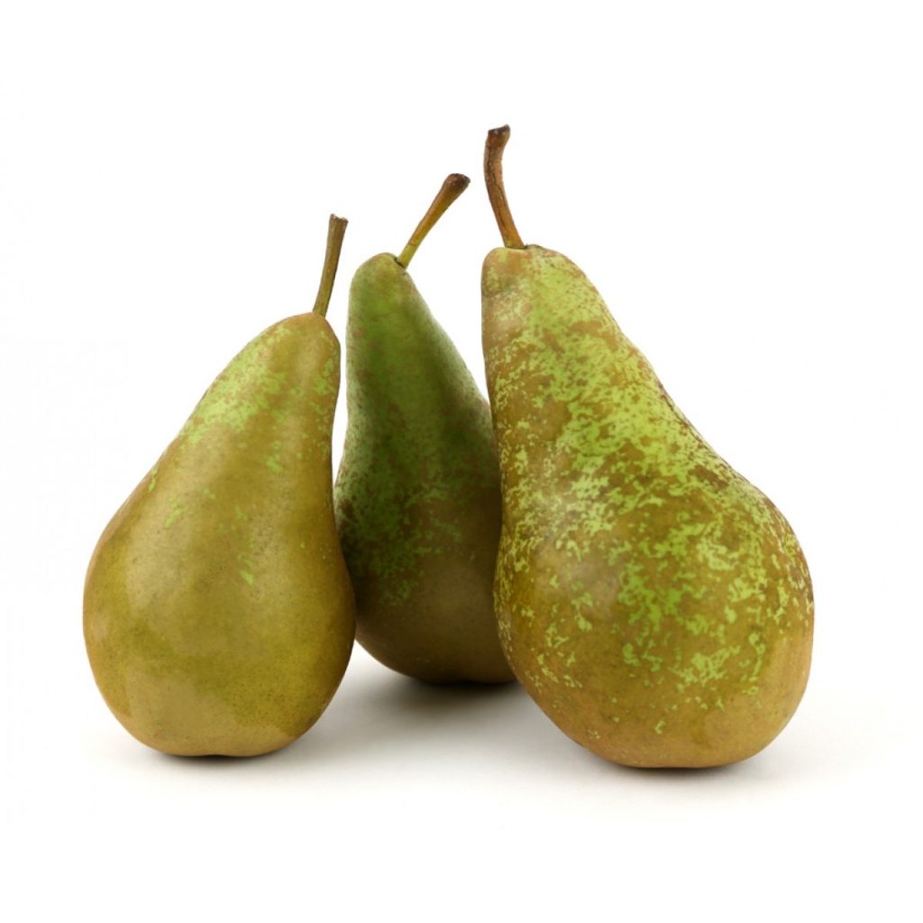 خرید نهال گلابی کنکورد