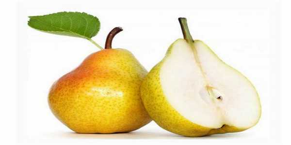 خرید نهال گلابی سیف تبریزی