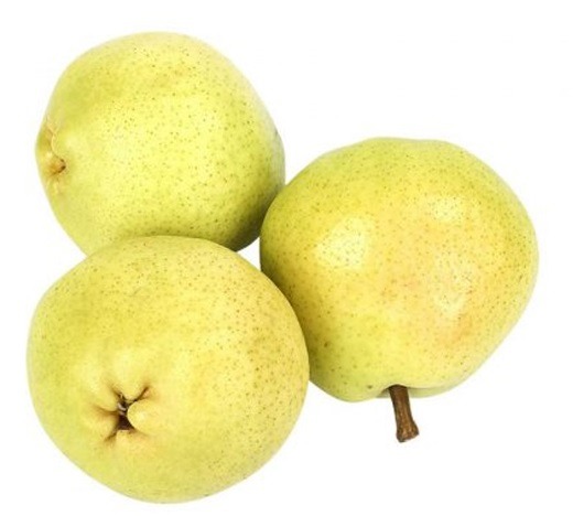 خرید نهال گلابی دَوَچی