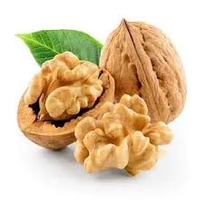 نهال گردو پیوندی کانادایی