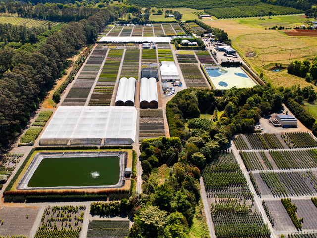 بزرگترین نهالستان شرکتی کشور