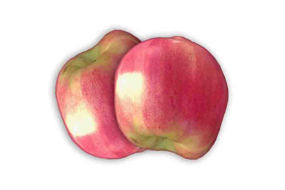 نهال به قرمز