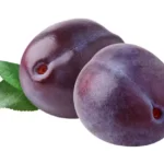 main