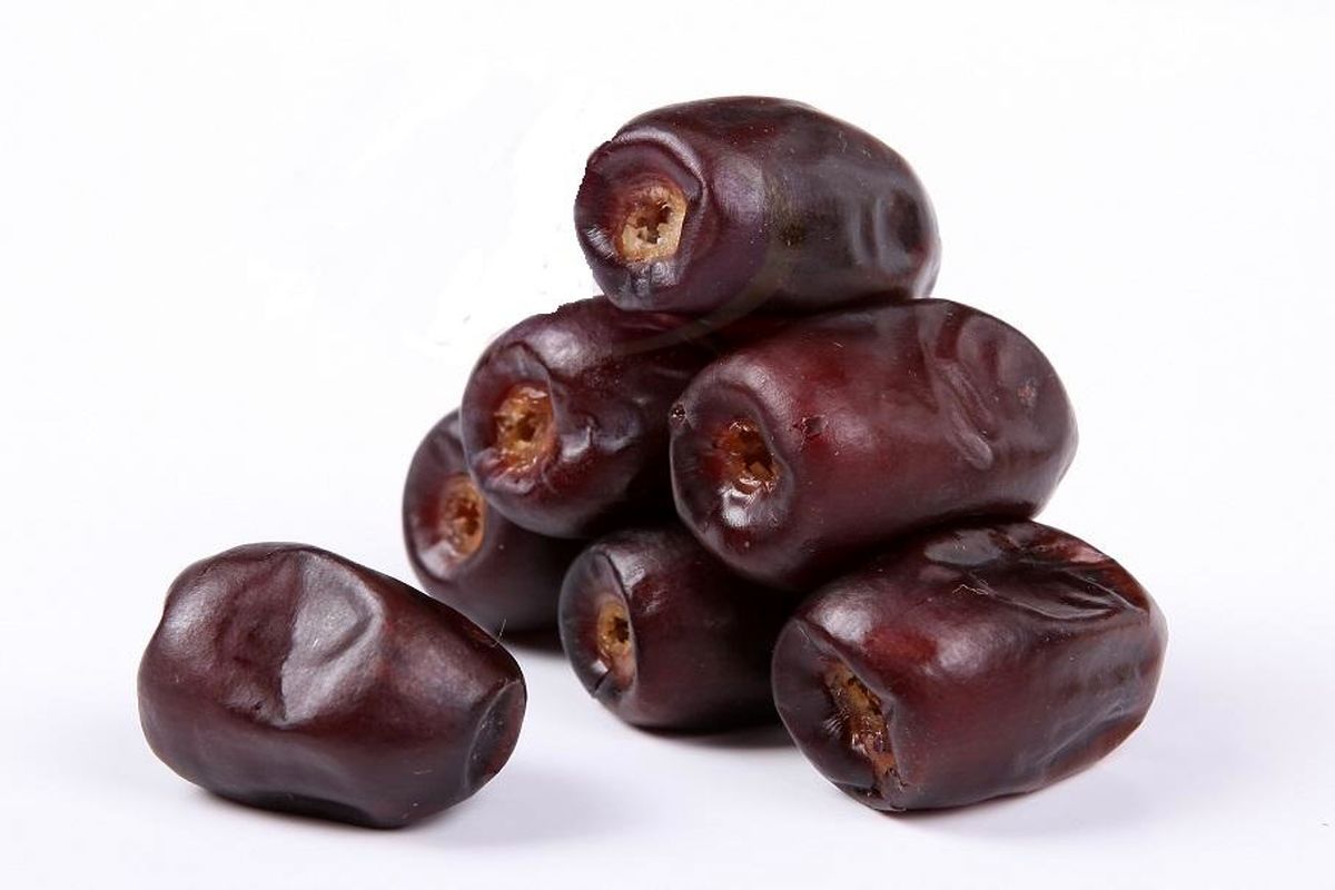 نهال خرما کشت بافتی