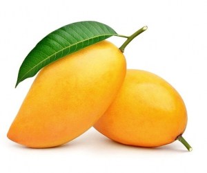 نهال انبه آلفونسو