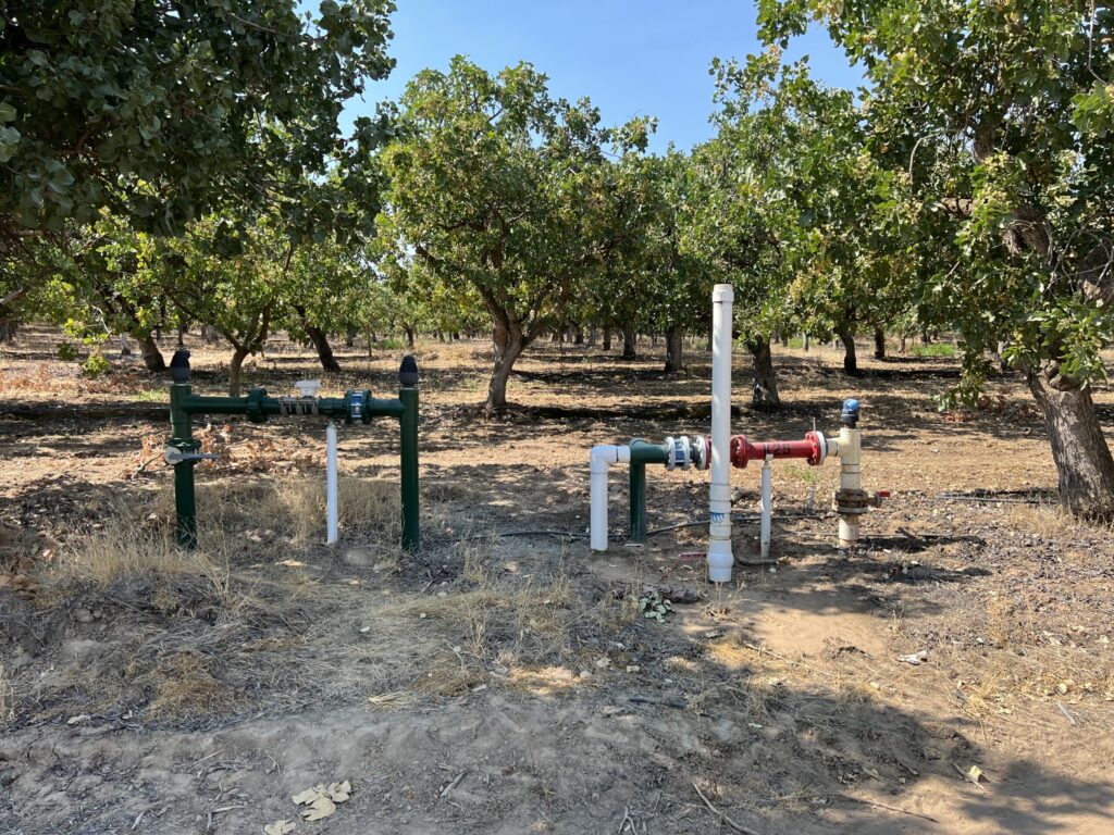 بهترین روش های آبیاری برای رشد و توسعه نهال پسته