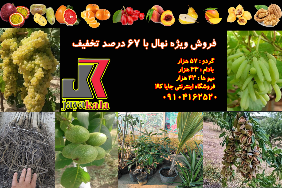 فروش ویژه نهال با 67 درصد تخفیف