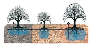 آبیاری منظم
